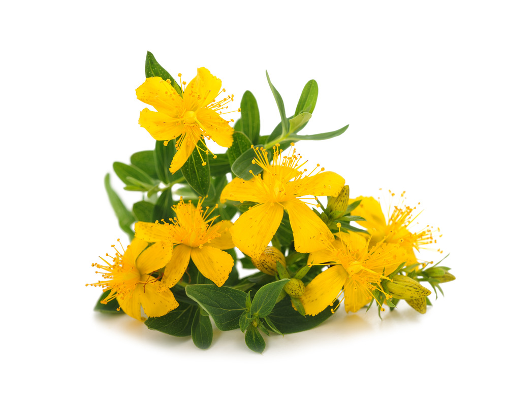 236129e6eec94e005ff7aae5465b4c5b