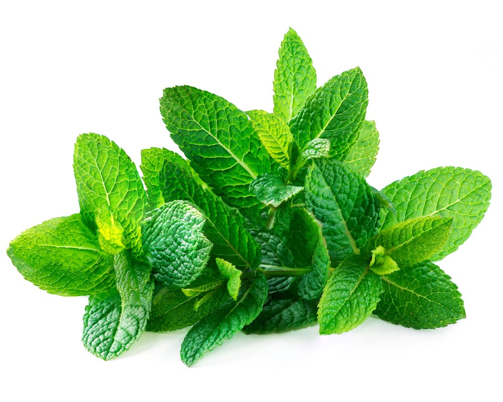 82bde911d7cab946f91bd487a2d247b0