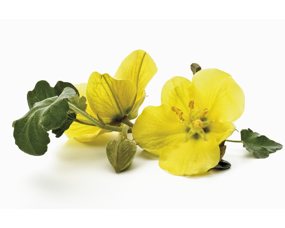 9089a3205dd78b179a7c9e8f381b2c56