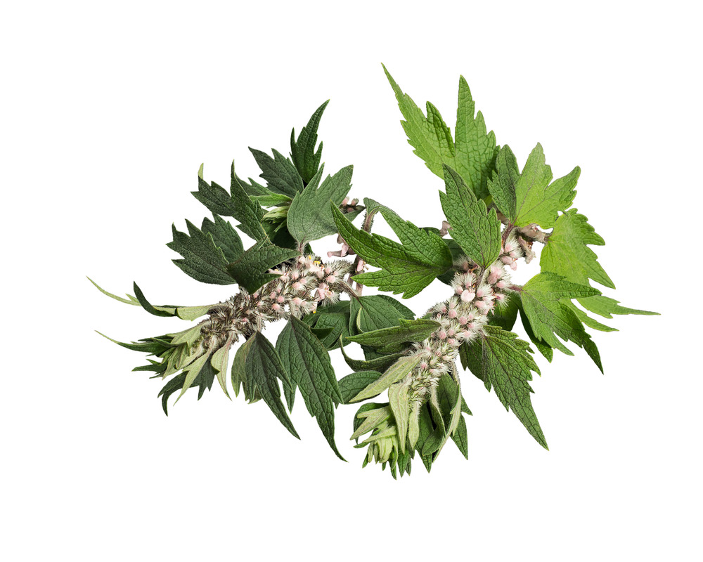 9c99495adf6542dad3bf7c7f682a7933