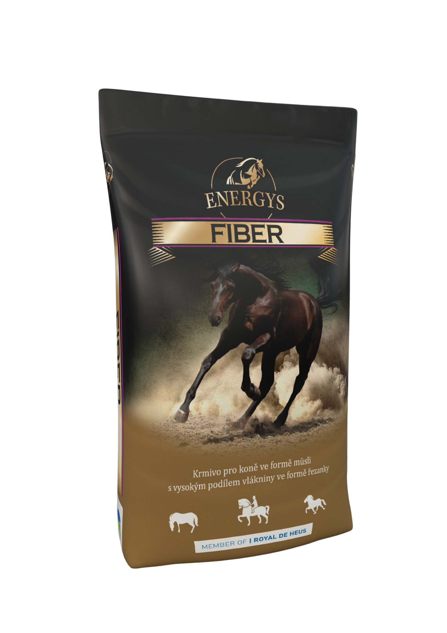 ENERGYS-FIBER